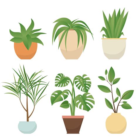 House Plant Vector Art, Icons, and Graphics for Free Download.